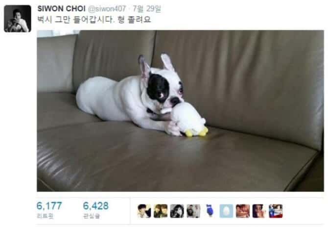 動画あり Super Juniorシウォンの犬に噛まれて韓国の有名レストランの社長が死亡 Kban ケイバン